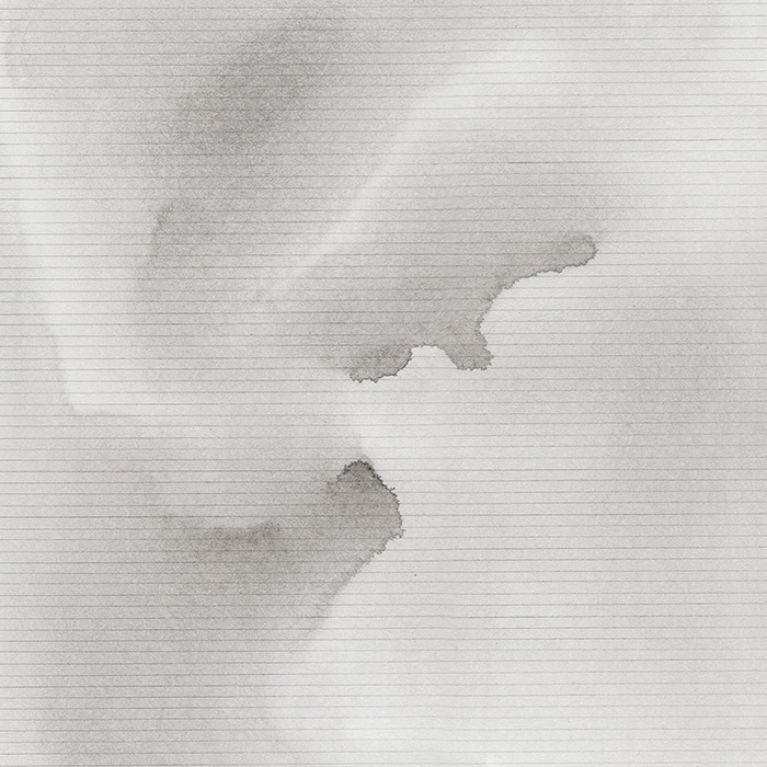 imagen 18. chapman expo